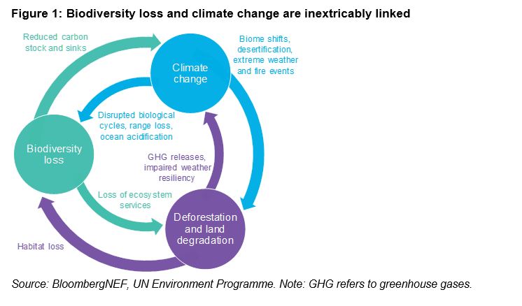 Biodiversity loss and climate change