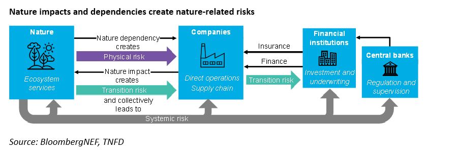 Nature-related risk