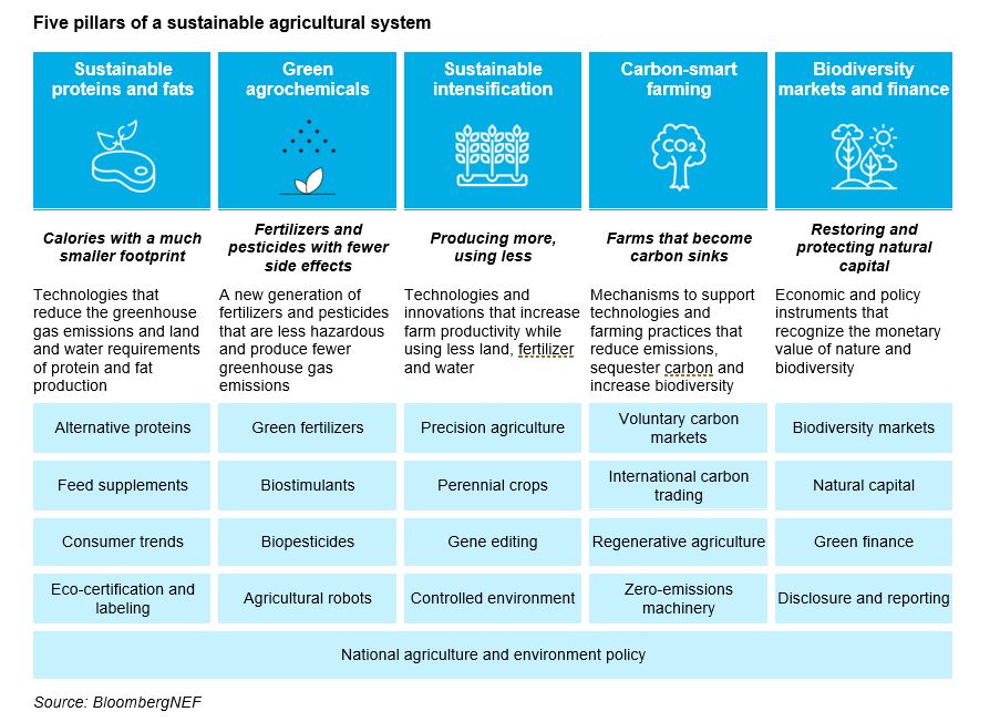 Five pillars of a sustainable agricultural system