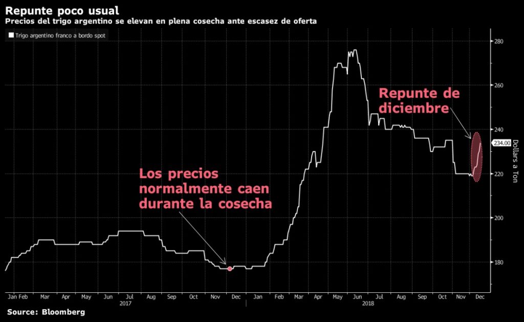 Trigo argentino avanza por dinámica de precios en plena cosecha