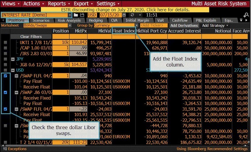 table shows Understand Libor Exposures Using MARS